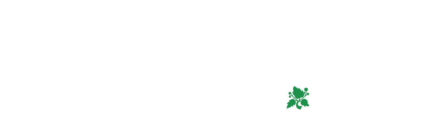 Saterbladet
